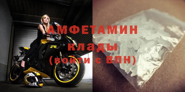 твердый Кирсанов